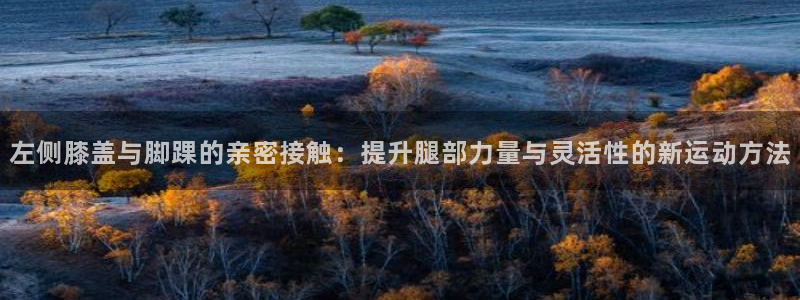 77体育app下载官网
