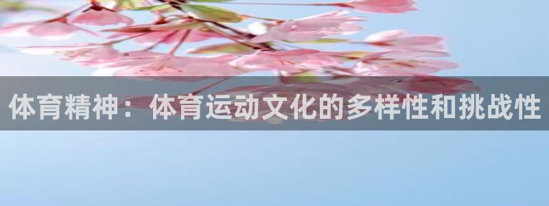 77体育官网