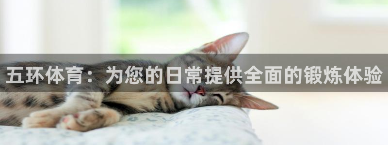 77体育官网：五环体育：为您的日常提供全面的锻炼体验