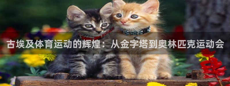 77体育官网：古埃及体育运动的辉煌：从金字塔到奥林匹克运动会